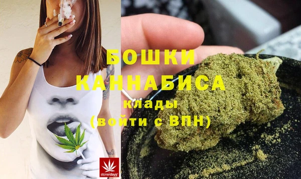 шишки Балахна