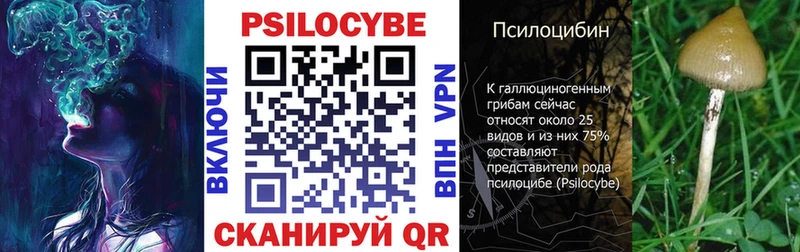 Купить где  Кузнецк  Галлюциногенные грибы Magic Shrooms 
